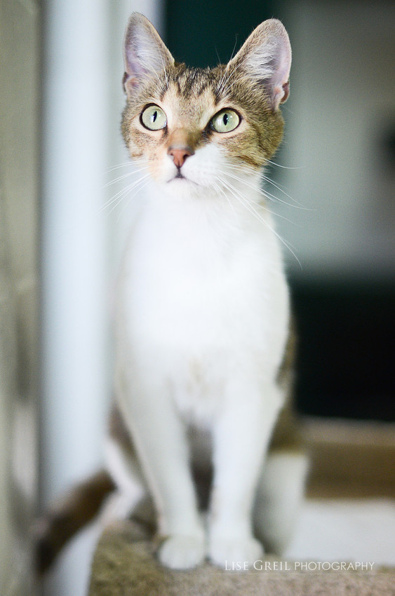 Sara
