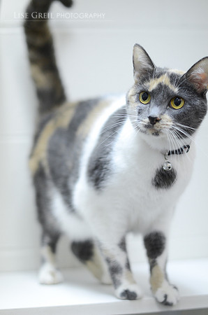 Coco