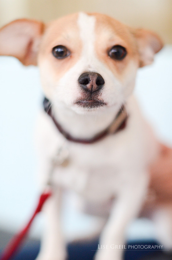 Charlie
