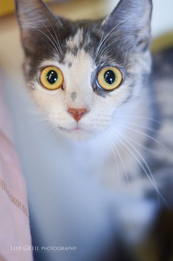 Penelope Jane