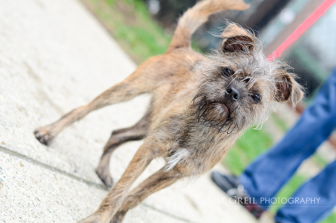 Chewy
