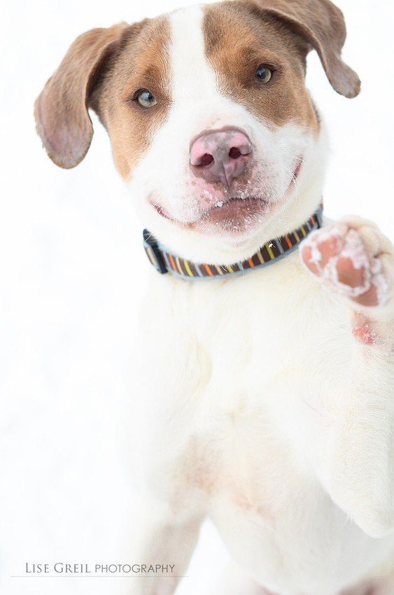 Max
