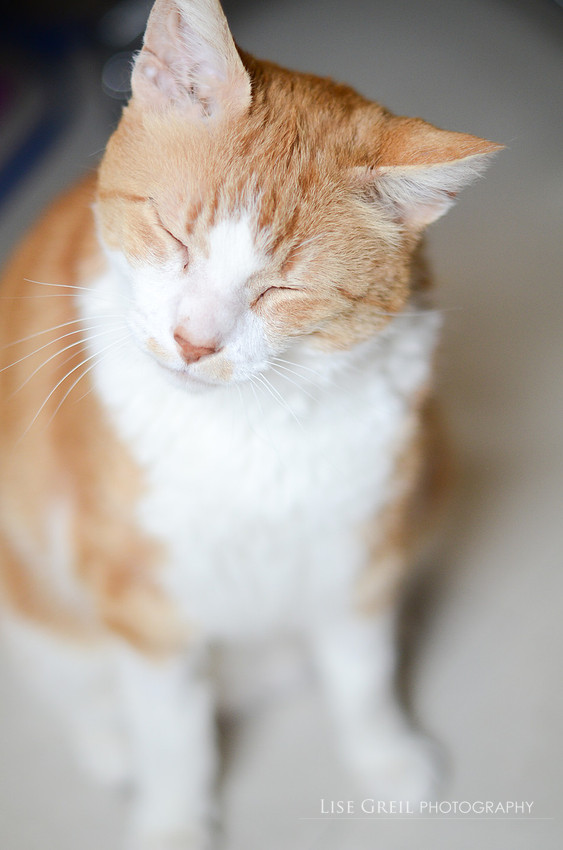 Jonas