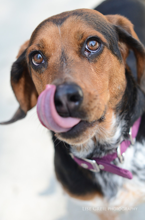 Sadie Mae