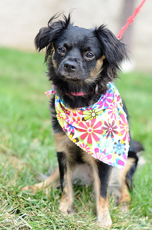 Lilly