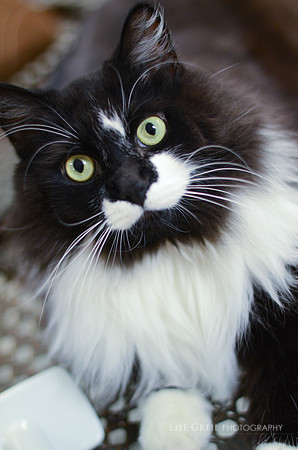 Thomas