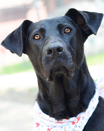 Roxy