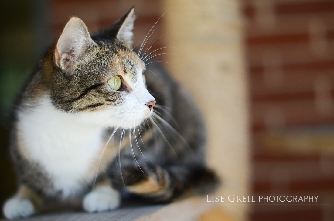 Eloise
