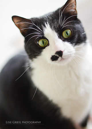 Amelia