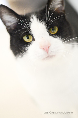Sammy