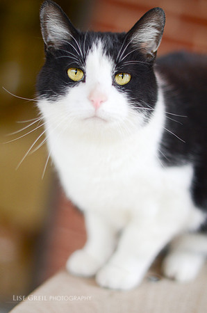 Sammy