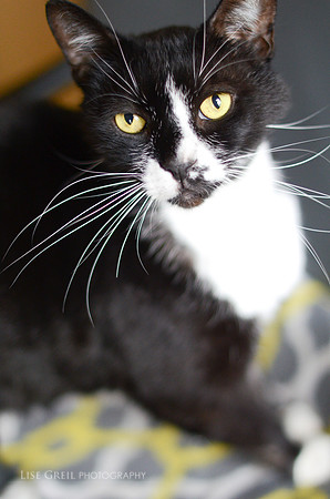 Pepper