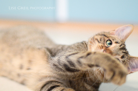 Oliver