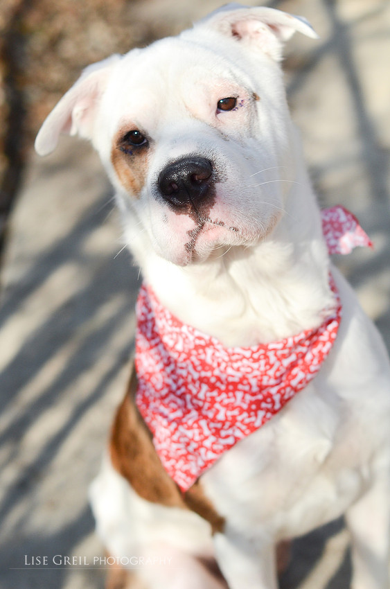 Templeton