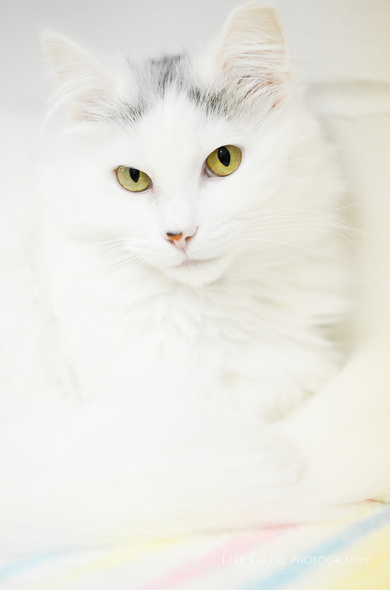 Kiki