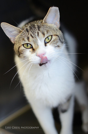 Oliver