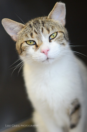 Oliver