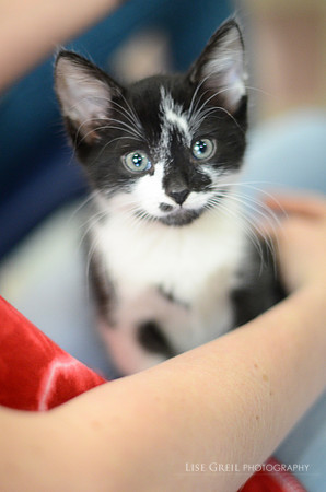 Pepper
