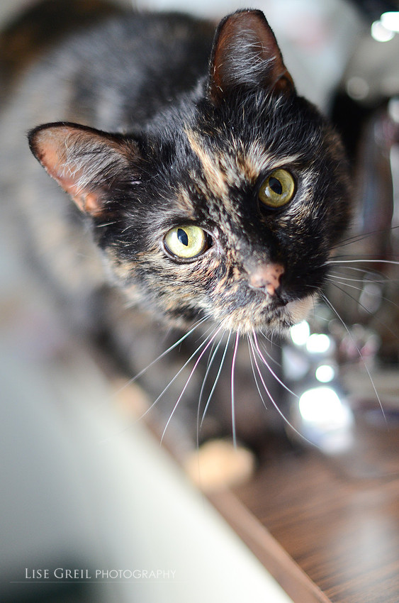 Maggie