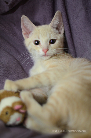 Delilah