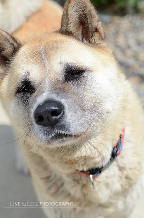 Kita