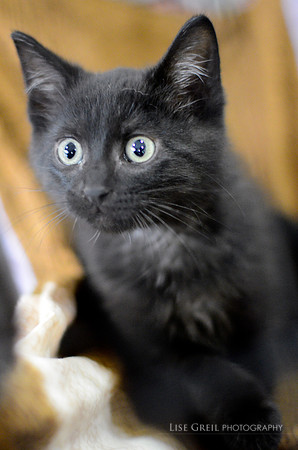 Milton