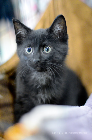 Milton