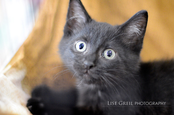 Milton