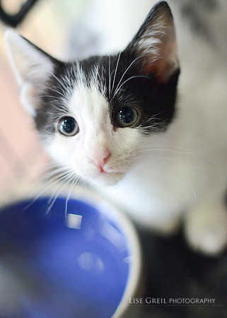 Milton