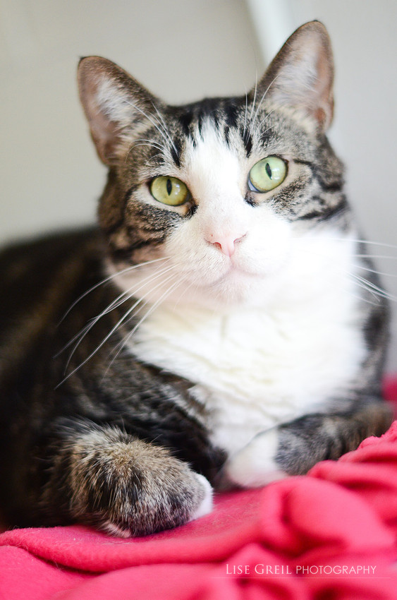 Ella