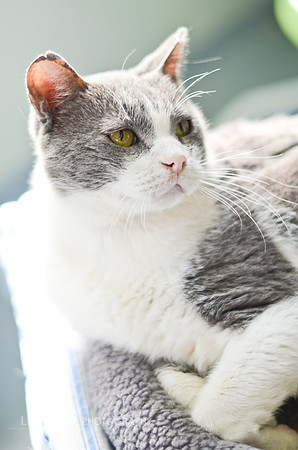 Tom