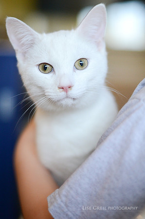 Ciro