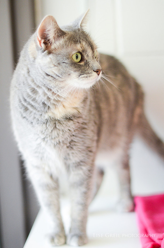 chloe