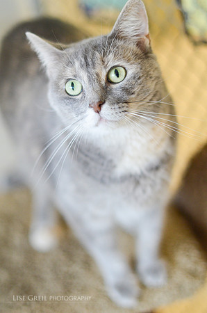 Chloe