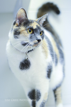 Coco