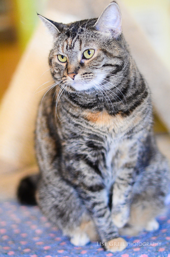 Sophie