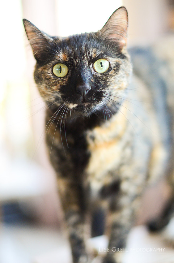 Rosie