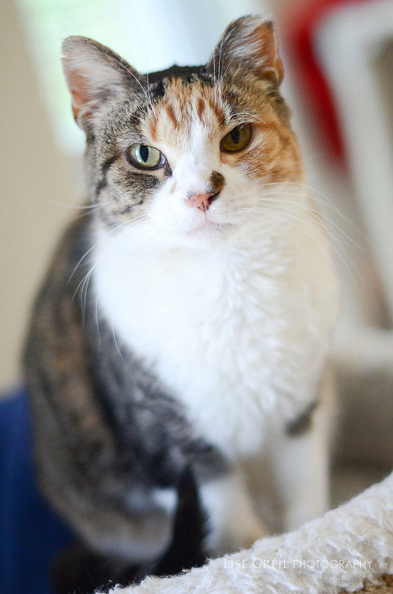 Sally Sunshine