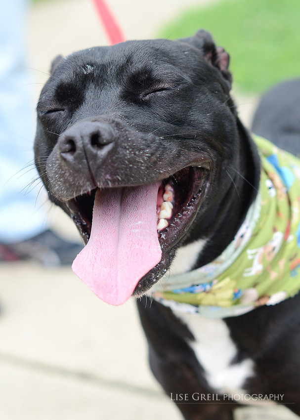 Tyson