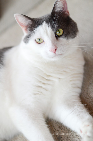 Jackson