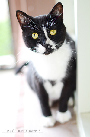 Pepper
