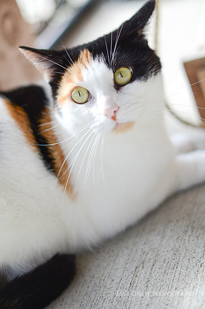 Miss Maxine