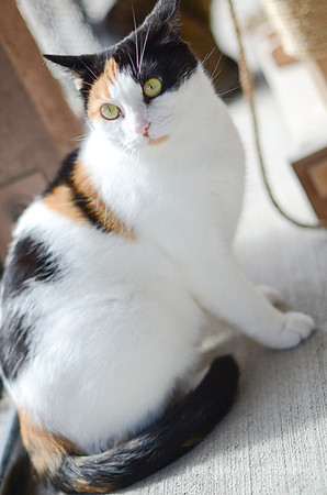Miss Maxine