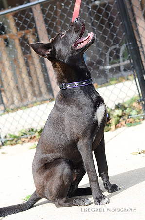 Rigby