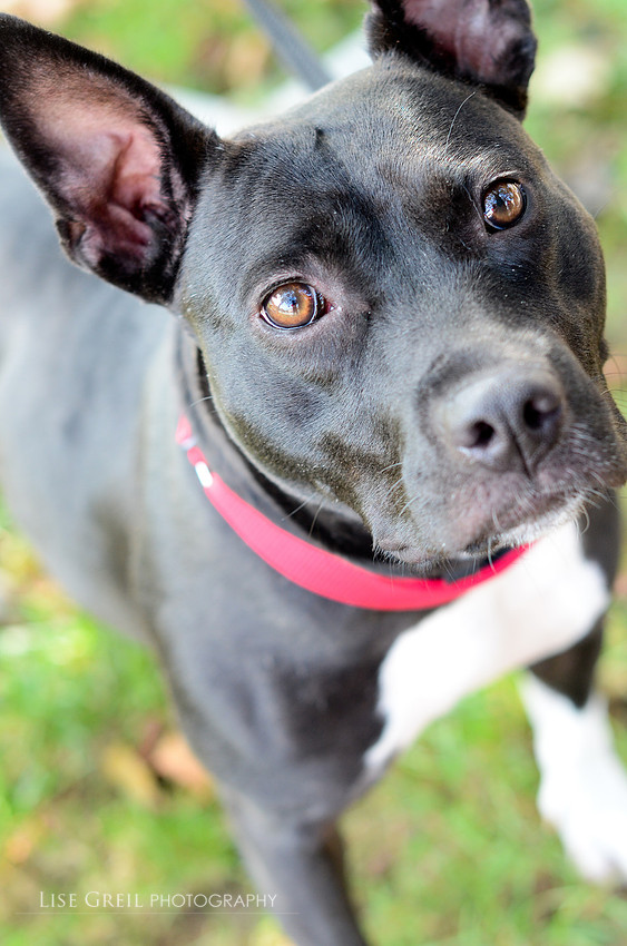 Rosie