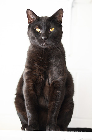 Bernard