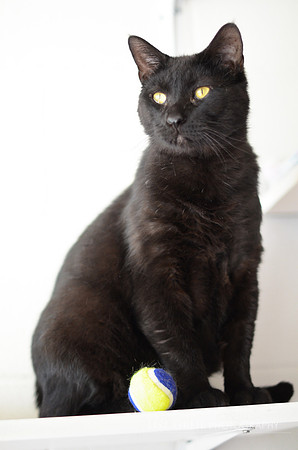 Bernard