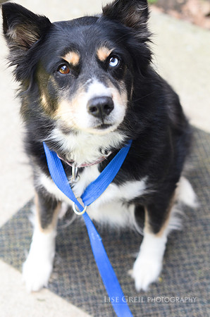 Skye