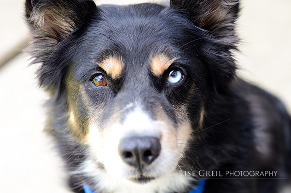 Skye