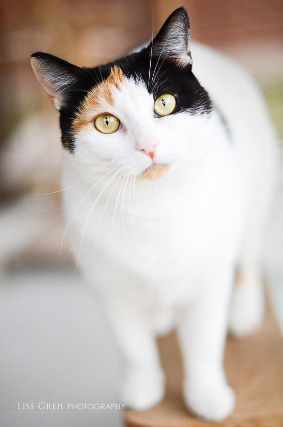 Miss Maxine